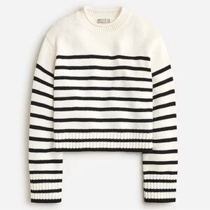 J.Crew Rollneck Sweater in Stripe